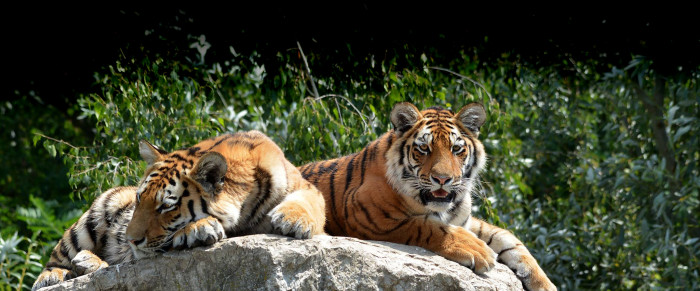 Zoologická zahrada Hodonín 15